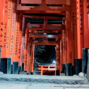 Fushimi Inari 🇯🇵 2023